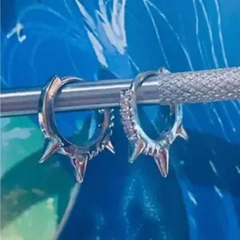 I have in Gold and Silver Spike Hoop?Earrings